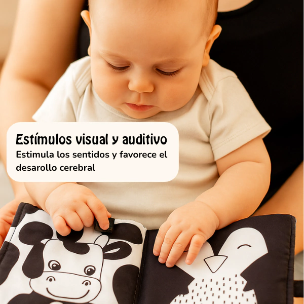 2-8b6eecd92c5c13b14a17606189306564-1024-1024 Libro sensorial contraste
