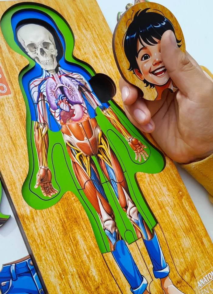 Conociendo Mi Cuerpo rompecabezas en niveles