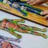 Conociendo Mi Cuerpo rompecabezas en niveles