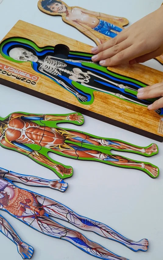 Conociendo Mi Cuerpo rompecabezas en niveles