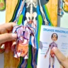 Conociendo Mi Cuerpo rompecabezas en niveles