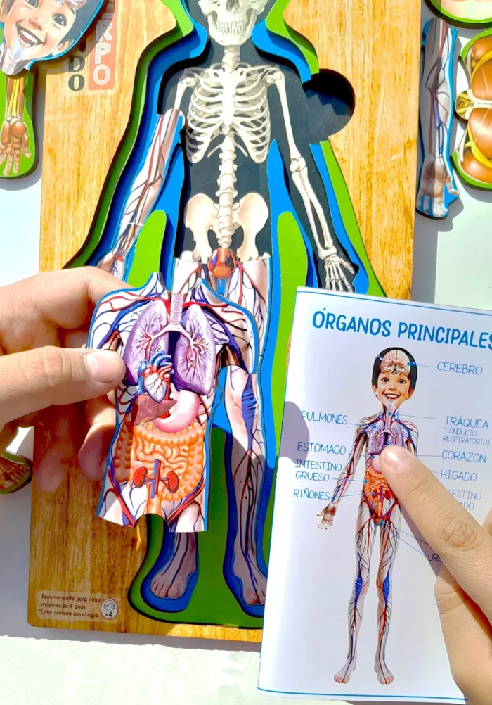 Conociendo Mi Cuerpo rompecabezas en niveles