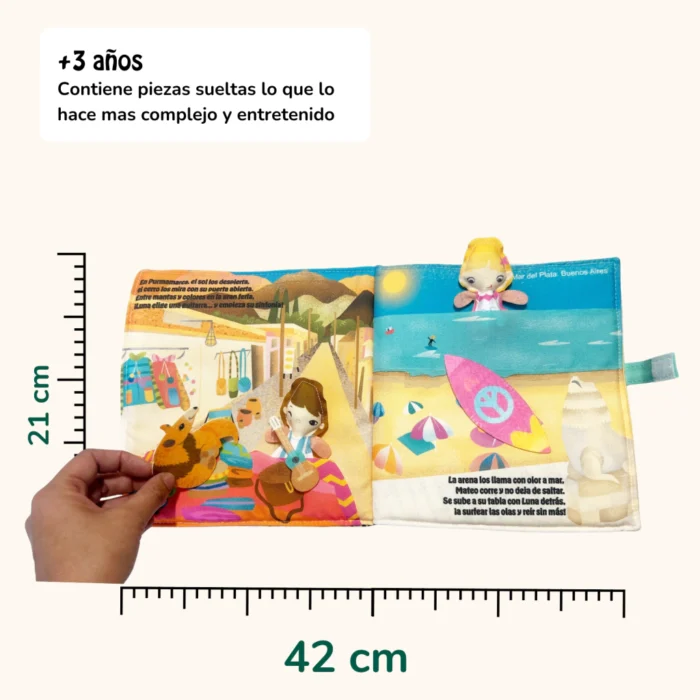 Libro descubriendo Argentina